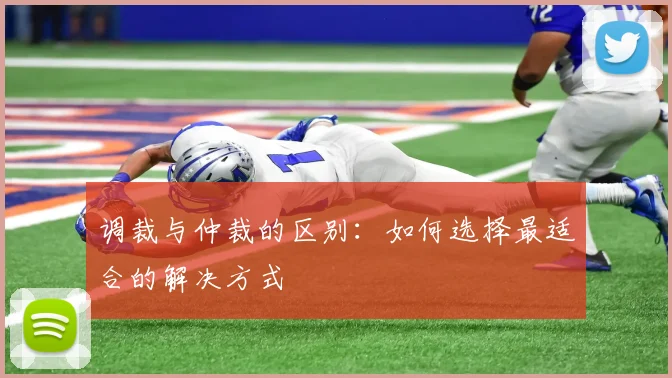 调裁与仲裁的区别:如何选择最适合的解决方式