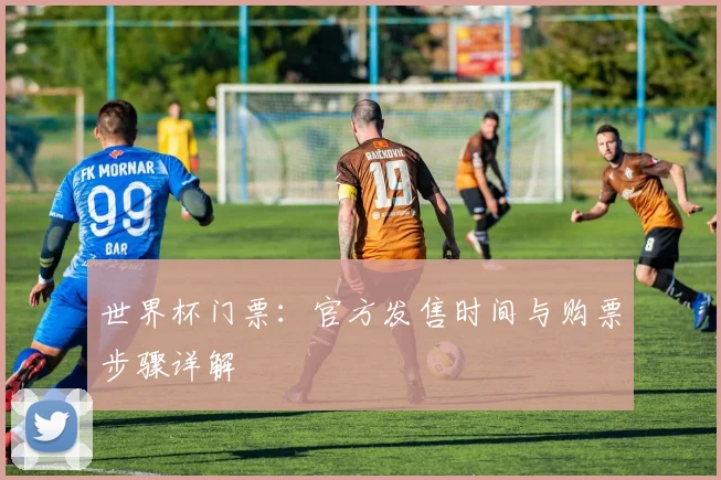 世界杯门票：官方发售时间与购票步骤详解