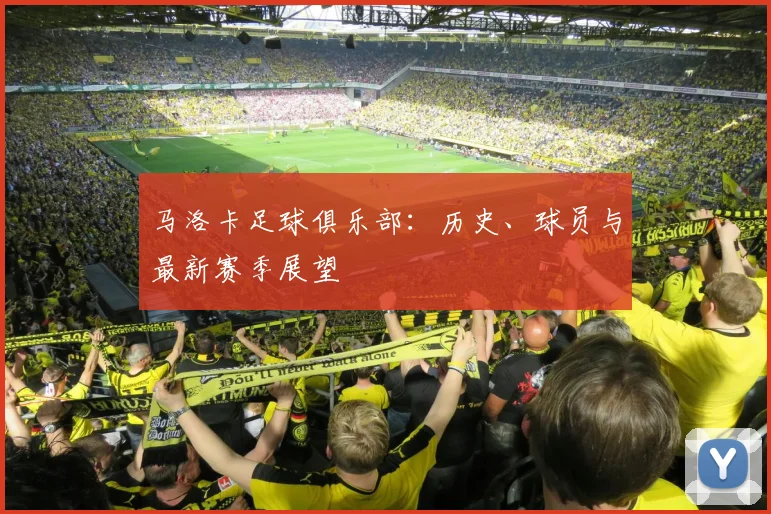 马洛卡足球俱乐部：历史、球员与最新赛季展望
